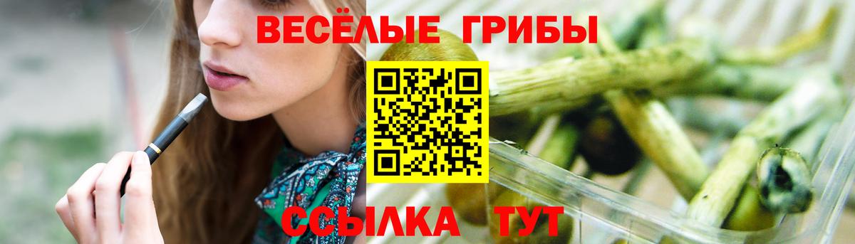 Белгород  Галлюциногенные грибы Psilocybe  Вход с VPN 